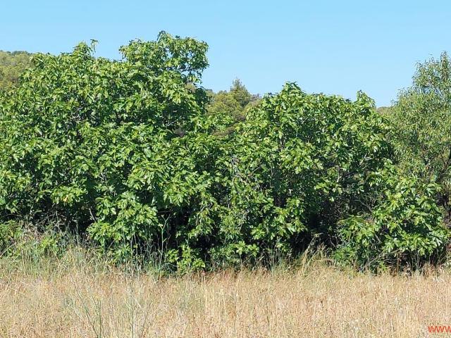 Finca en venta en Bajo Aragón, Aragón