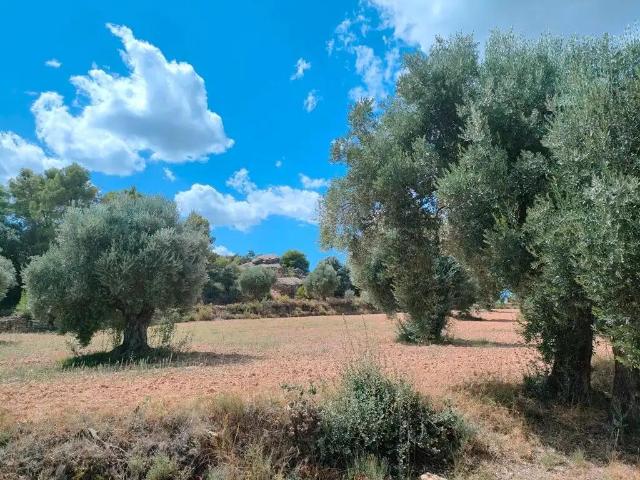 Finca en venta en Bajo Aragón, Aragón