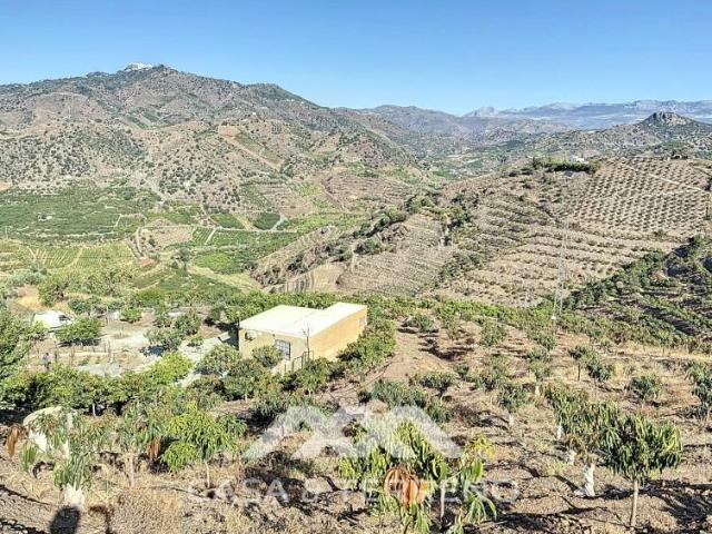 Finca en venta en Benamargosa