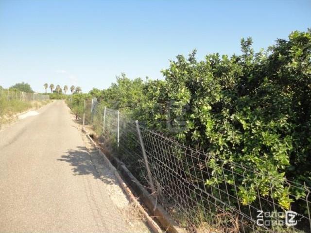 Finca en venta en la Ribera Baixa, Valencia
