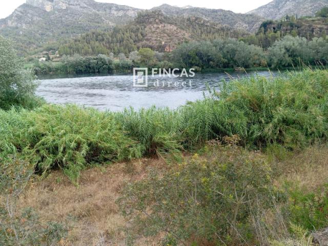 Finca en venta en Benifallet Finca en venta en Benifallet