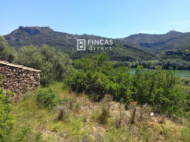 Finca en venta en Benifallet Finca en venta en Benifallet