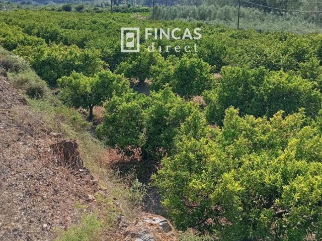 Finca en venta en Baix Ebre, Catalunya