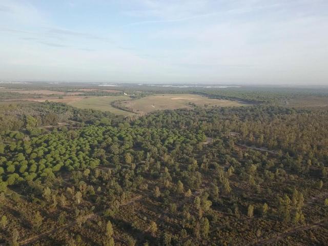 Finca en venta en El Condado, Andalucía