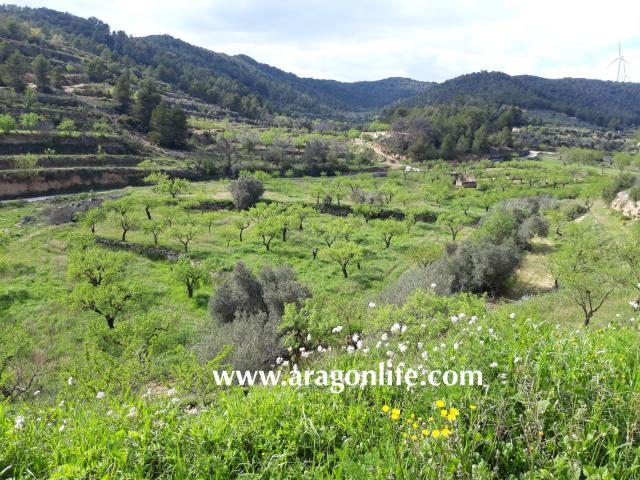 Finca en venta en Bot Finca en venta en Bot