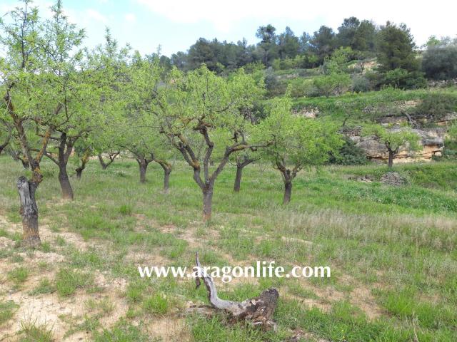 Finca en venta en Terra Alta, Catalunya