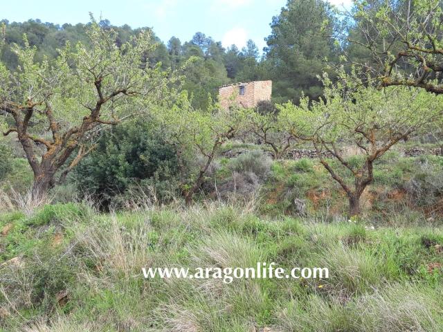 Finca en venta en Bot Finca en venta en Bot