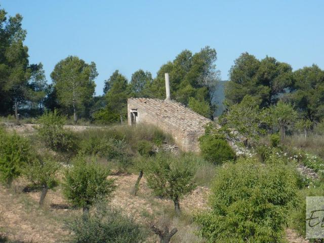 Finca en venta en Bot Finca en venta en Bot