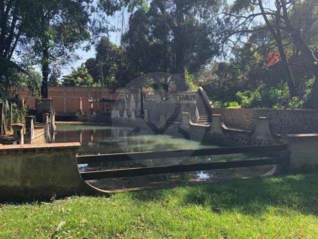 Finca en venta en Buenavista