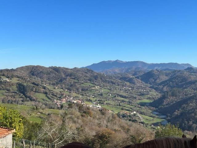 Finca en venta en Cabranes, Asturias
