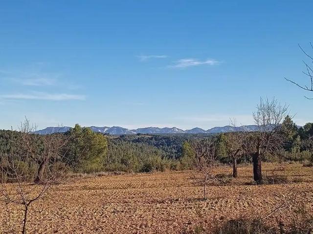 Finca en venta en Matarraña / Matarranya, Calaceite