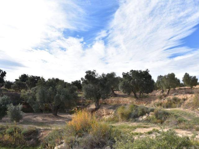Finca en venta en Calaceite