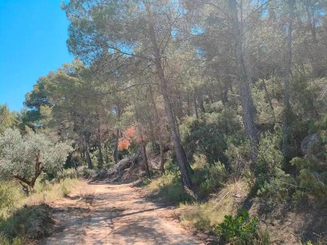 Finca en venta en Matarraña / Matarranya, Calaceite