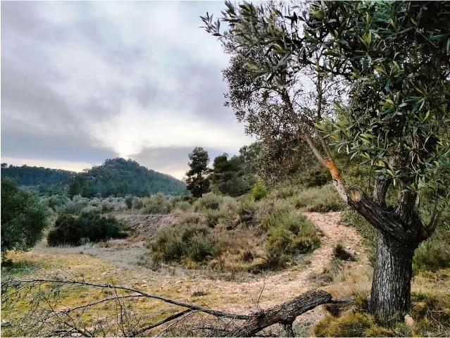 Finca en venta en Matarraña / Matarranya, Calaceite
