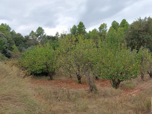 Finca en venta en Matarraña / Matarranya, Calaceite