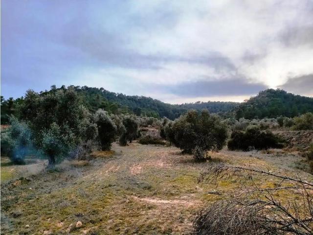 Finca en venta en Matarraña / Matarranya, Calaceite