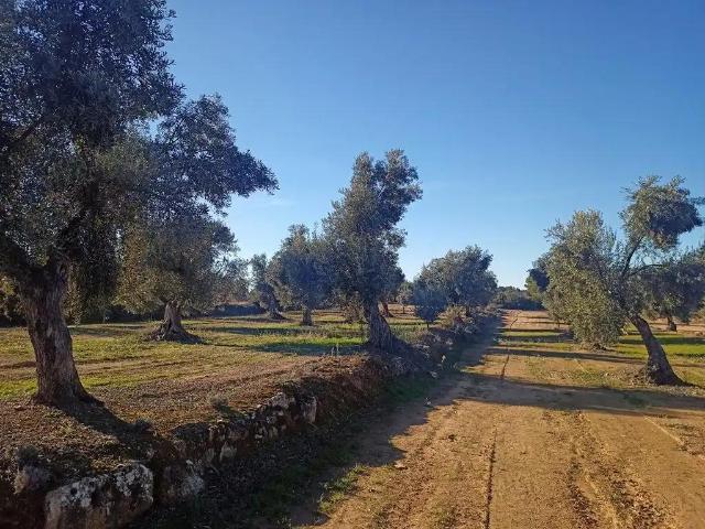 Finca en venta en Matarraña / Matarranya, Calaceite
