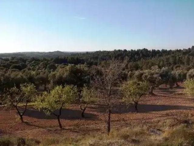 Finca en venta en Matarraña / Matarranya, Calaceite