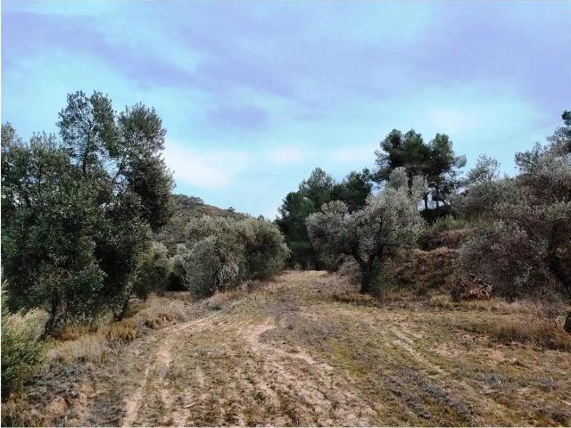 Finca en venta en Matarraña / Matarranya, Calaceite