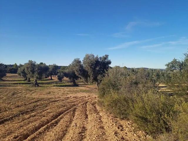 Finca en venta en Matarraña / Matarranya, Calaceite