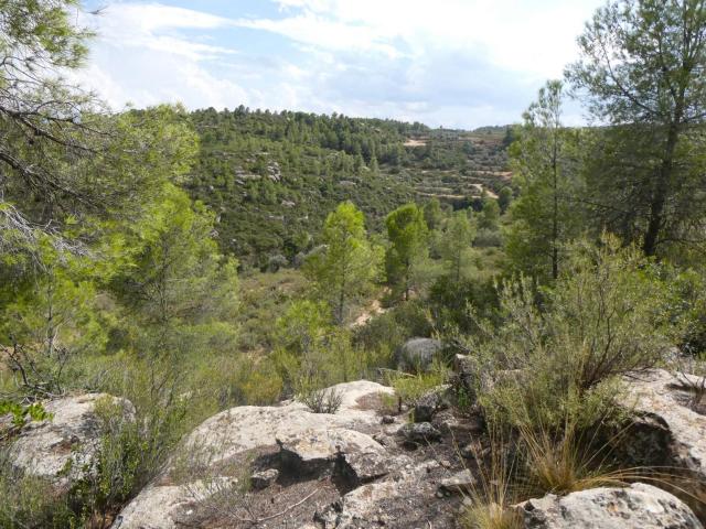Finca en venta en Matarraña / Matarranya, Calaceite