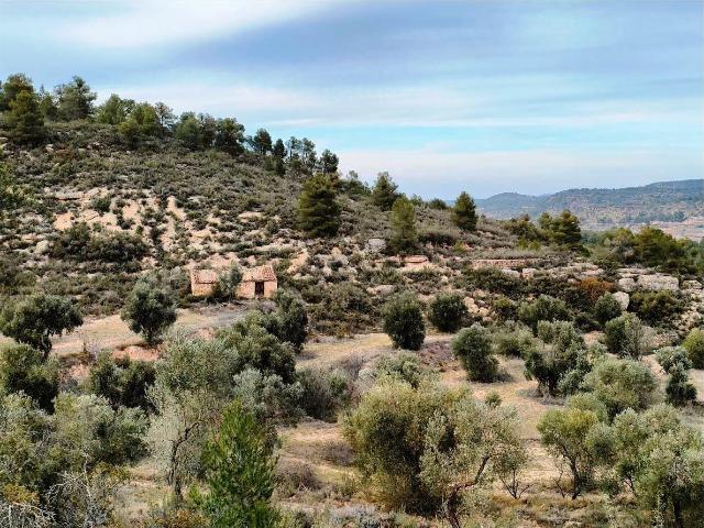 Finca en venta en Calaceite, Teruel