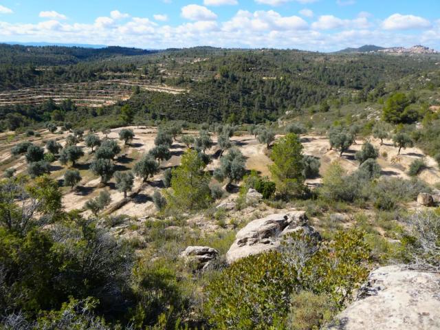 Finca en venta en Calaceite