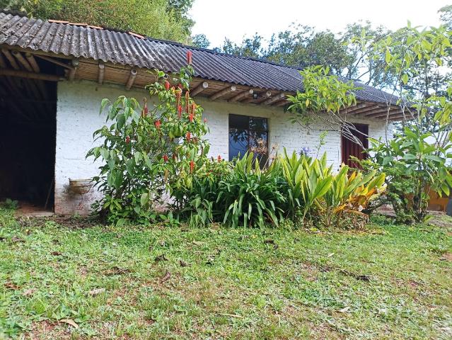 Finca En Venta En Cali En Aguacatal V275636