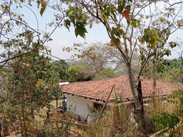 Finca en venta en Sur, La Buitrera