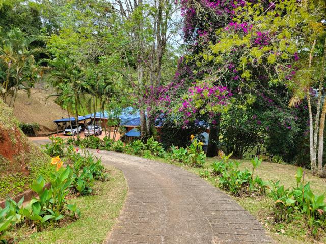 Finca En Venta En Cali En San Pablo Bajo V160584