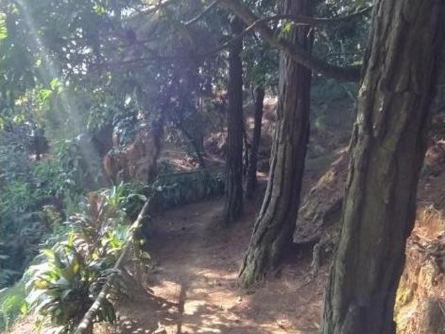 Finca En Venta En Cali En La Buitrera V173002