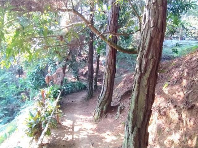 Finca En Venta En Cali En La Buitrera V173002