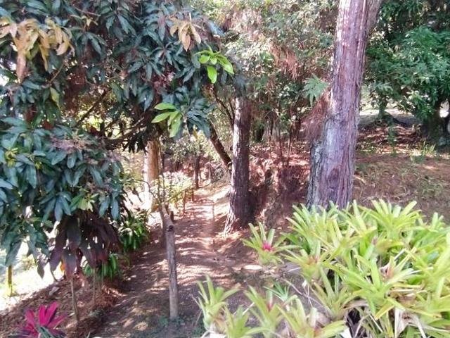 Finca En Venta En Cali En La Buitrera V173002