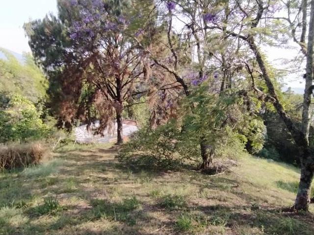 Finca En Venta En Cali En La Buitrera V173002