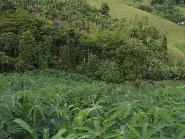 Finca en venta en Calima, Valle Del Cauca