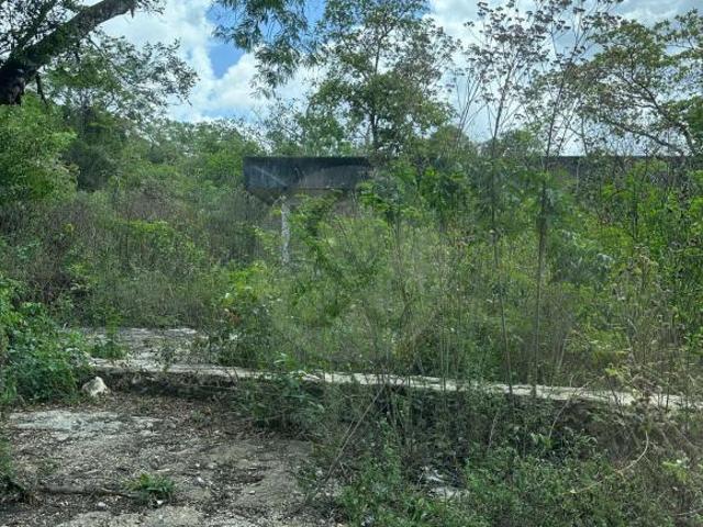 Rancho en venta en Benito Juárez, Quintana Roo