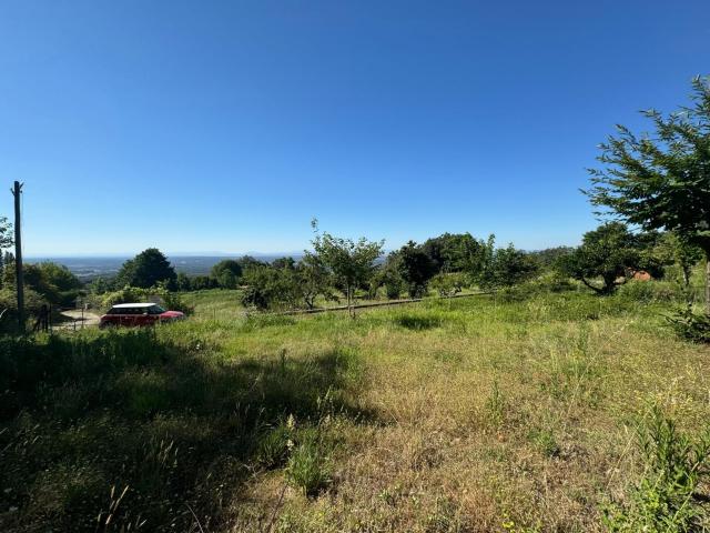 Finca en venta en Candeleda, Castilla y León