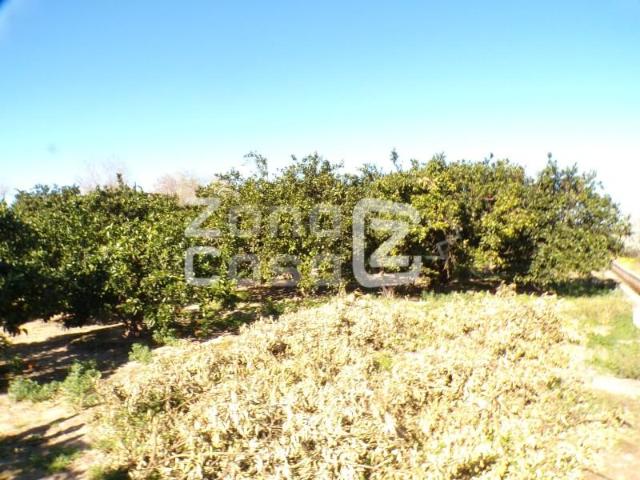 Finca en venta en la Ribera Alta, Valencia