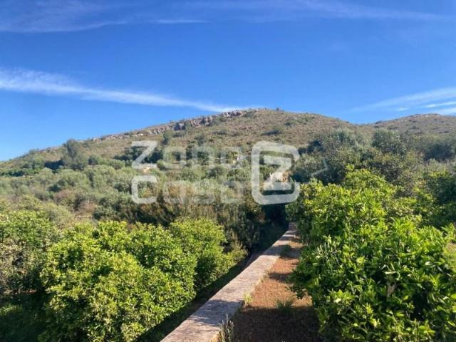 Finca en venta en la Ribera Alta, Valencia