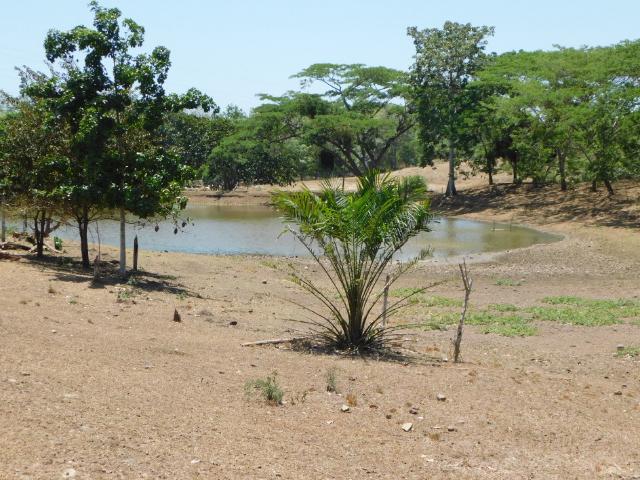 Finca en venta en Bolívar