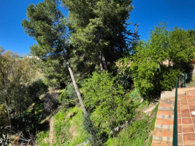 Finca en venta en Estación de Cártama, Valle del Guadalhorce