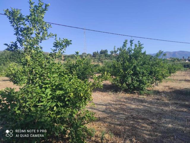 Finca en venta en Cártama, Ampliación de Cártama
