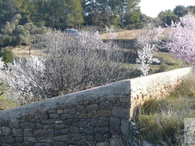 Finca en venta en Terra Alta, Catalunya