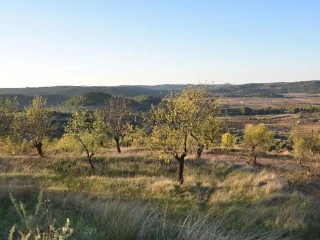 Finca en venta en Terra Alta, Catalunya