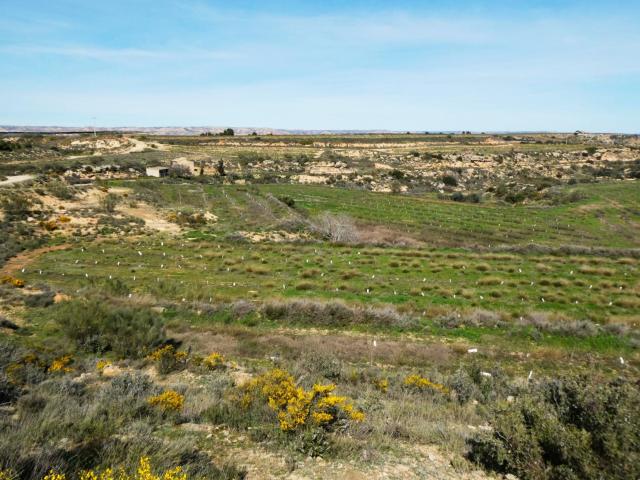 Finca en venta en Bajo Aragón-Caspe / Baix Aragó-Casp, Aragón