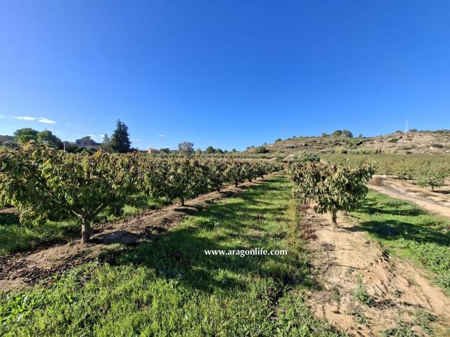 Finca en venta en Bajo Aragón-Caspe / Baix Aragó-Casp, Aragón