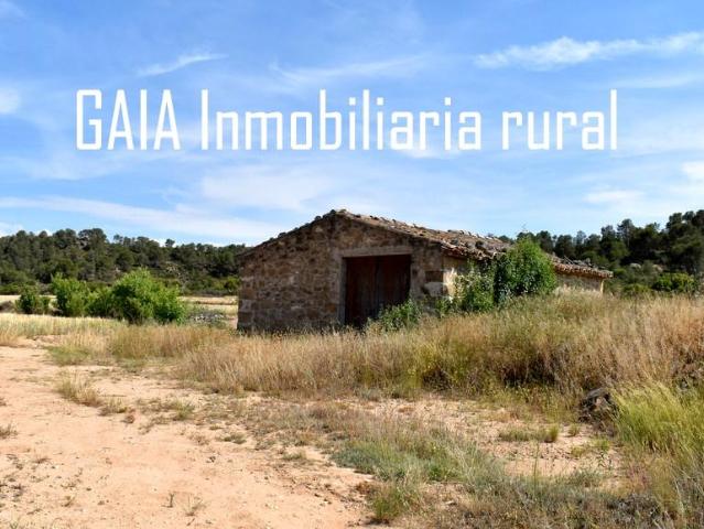 Finca en venta en Bajo Aragón-Caspe / Baix Aragó-Casp, Aragón