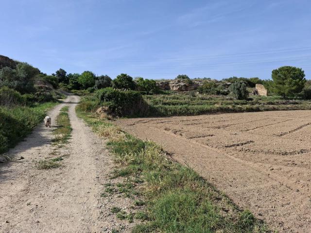Finca en venta en Bajo Aragón-Caspe / Baix Aragó-Casp, Aragón