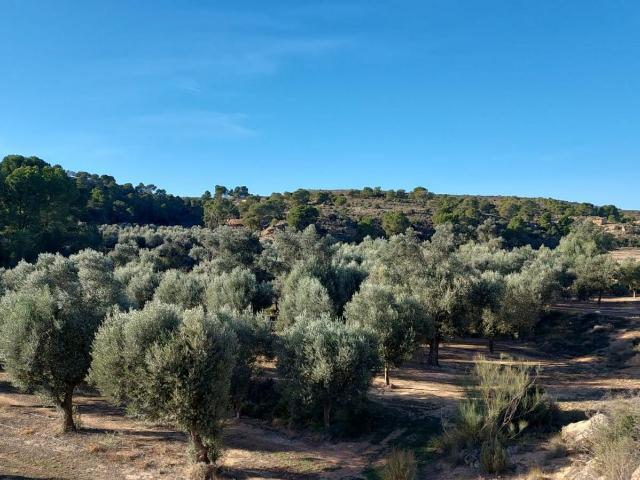 Finca en venta en Bajo Aragón-Caspe / Baix Aragó-Casp, Aragón
