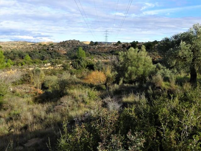 Finca en venta en Bajo Aragón-Caspe / Baix Aragó-Casp, Aragón